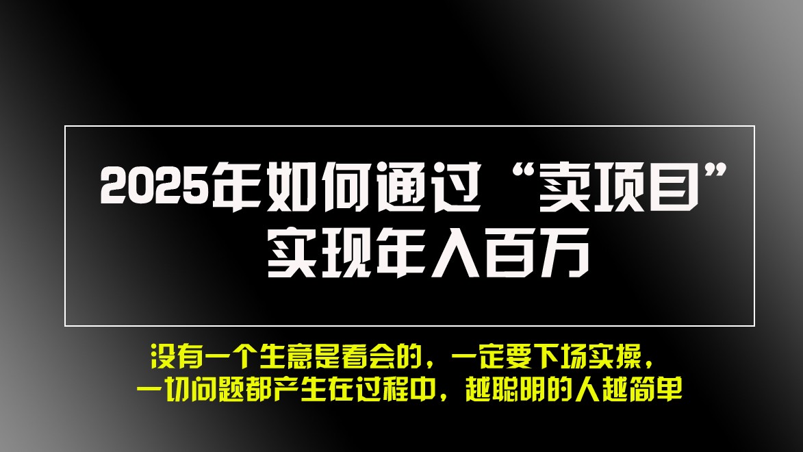 2025年如何通过“卖项目”实现年入百万-天孤无涯网