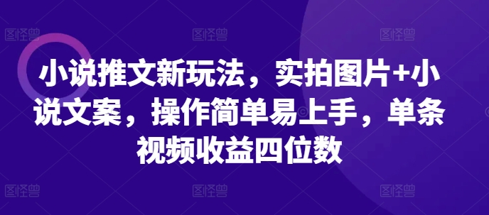 小说推文新玩法，实拍图片+小说文案，操作简单易上手，单条视频收益四位数-天孤无涯网