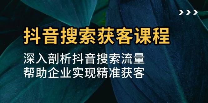 抖音搜索获客课程：深入剖析抖音搜索流量，帮助企业实现精准获客-天孤无涯网