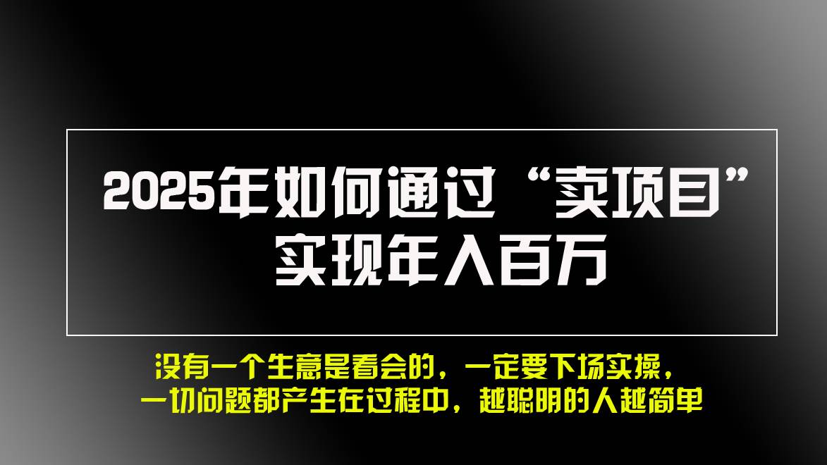 （13468期）2025年如何通过“卖项目”实现年入百万，做网赚必看！！-天孤无涯网