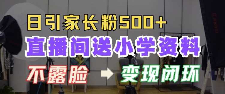直播间送小学资料，每天引流家长粉500+，变现闭环模式【揭秘】-天孤无涯网