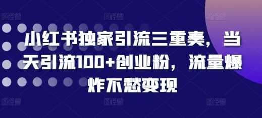小红书独家引流三重奏，当天引流100+创业粉，流量爆炸不愁变现【揭秘】-天孤无涯网