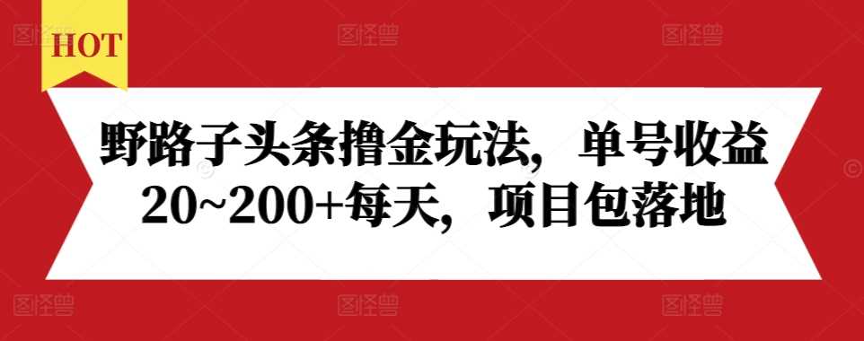 野路子头条撸金玩法，单号收益20~200+每天，项目包落地-天孤无涯网