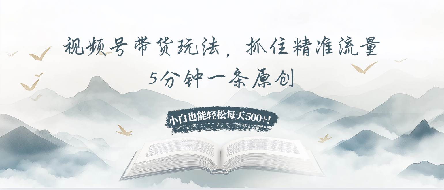 （13492期）视频号带货玩法，抓住精准流量，5分钟一条原创，小白也能轻松每天500+！-天孤无涯网