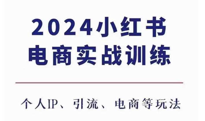 2024小红书电商3.0实战训练，包含个人IP、引流、电商等玩法-天孤无涯网