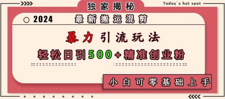 最新搬运混剪暴力引流玩法，轻松日引500+精准创业粉，小白可零基础上手-天孤无涯网