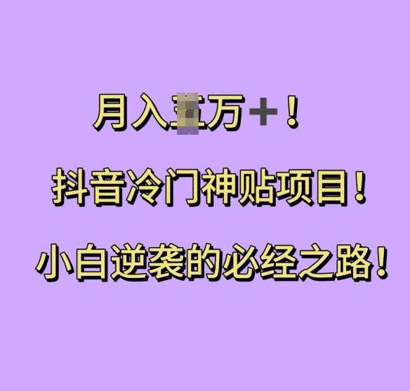 抖音冷门神贴项目，小白逆袭的必经之路，月入过W【揭秘】-天孤无涯网