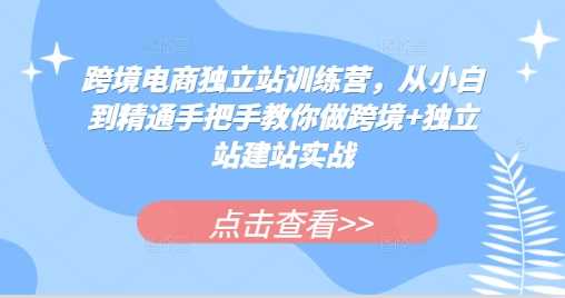 跨境电商独立站训练营，从小白到精通手把手教你做跨境+独立站建站实战-天孤无涯网
