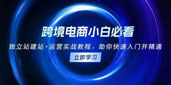 跨境电商小白必看！独立站建站+运营实战教程，助你快速入门并精通-天孤无涯网