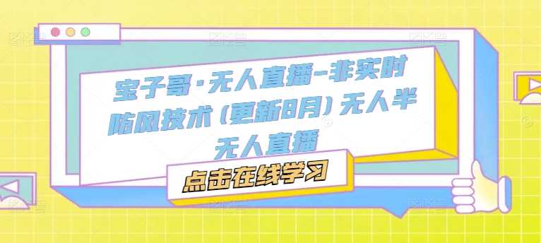 宝子哥·无人直播-非实时防风技术(更新11月)无人半无人直播-天孤无涯网