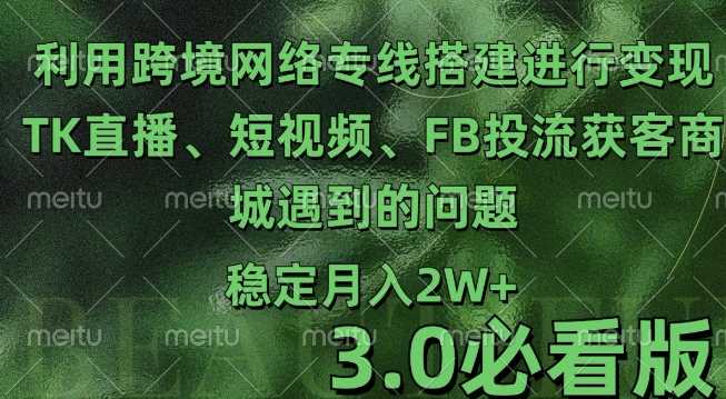 利用跨境电商网络及搭建TK直播、短视频、FB投流获客以及商城遇到的问题进行变现3.0必看版【揭秘】-天孤无涯网