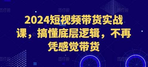 2024短视频带货实战课，搞懂底层逻辑，不再凭感觉带货-天孤无涯网