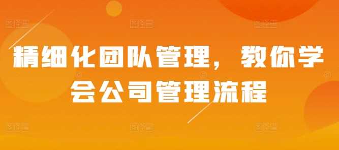 精细化团队管理，教你学会公司管理流程-天孤无涯网