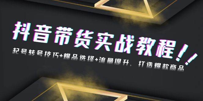（13526期）抖音带货实战教程：起号转号技巧+爆品选择+流量提升，打造爆款商品-天孤无涯网