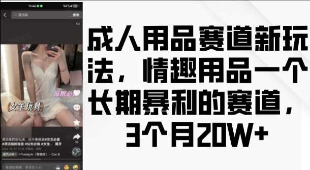 成人用品赛道新玩法，情趣用品一个长期暴利的赛道，3个月收益20个【揭秘】-天孤无涯网