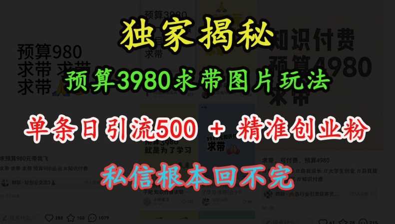 预算3980求带 图片玩法，单条日引流500+精准创业粉，私信根本回不完-天孤无涯网
