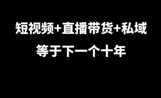 短视频+直播带货+私域等于下一个十年，大佬7年实战经验总结-天孤无涯网