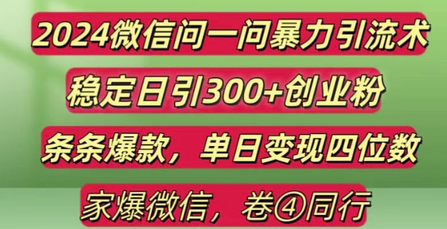 2024最新微信问一问暴力引流300+创业粉,条条爆款单日变现四位数【揭秘】-天孤无涯网