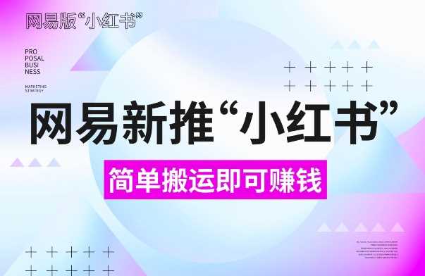 网易官方新推“小红书”，搬运即有收益，新手小白千万别错过(附详细教程)【揭秘】-天孤无涯网