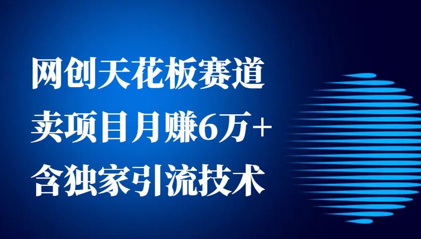网创天花板赛道，卖项目月赚6万+，含独家引流技术（共26节课）-天孤无涯网