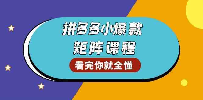 拼多多爆款矩阵课程：教你测出店铺爆款，优化销量，提升GMV，打造爆款群-天孤无涯网