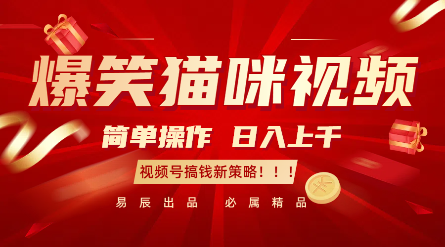 爆笑猫咪视频：简单操作，日入过千，视频号搞钱新策略！-天孤无涯网