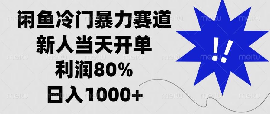 （13660期）闲鱼冷门暴力赛道，新人当天开单，利润80%，日入1000+-天孤无涯网