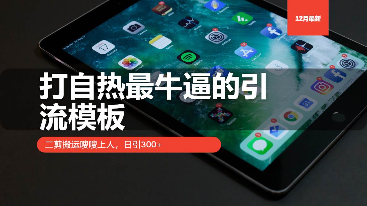 （13654期）打自热最牛逼的引流模板，二剪搬运嗖嗖上人，日引300+-天孤无涯网