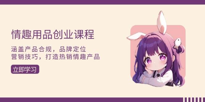 （13682期）情趣用品创业课程：涵盖产品合规，品牌定位，营销技巧，打造热销情趣产品-天孤无涯网