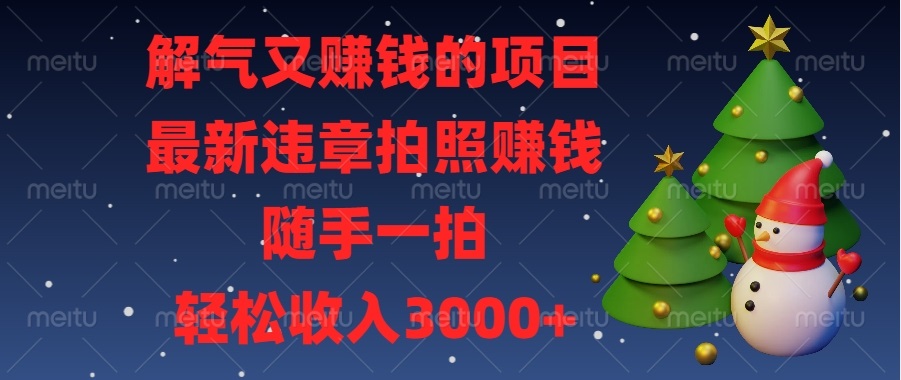 （13686期）解气又赚钱的项目，最新违章拍照赚钱，随手一拍，轻松收入3000+-天孤无涯网