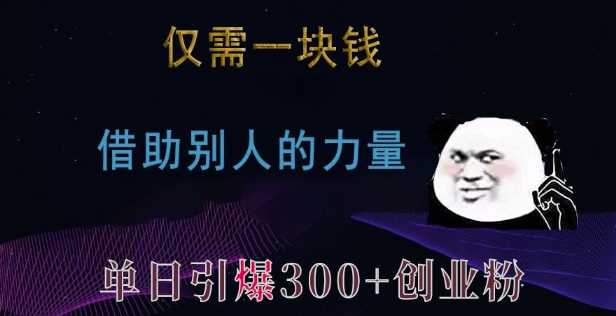 仅需一块钱，借助别人的力量，单日引爆300+创业粉、兼职粉【揭秘】-天孤无涯网