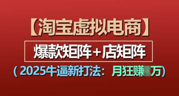 淘宝虚拟电商，2025牛逼新打法：爆款矩阵+店矩阵，月入过万-天孤无涯网