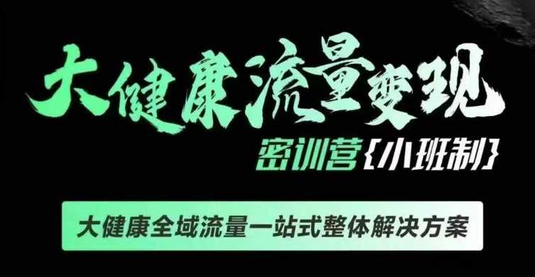 千万级大健康变现课线下课，大健康全域流量一站式整体解决方案-天孤无涯网