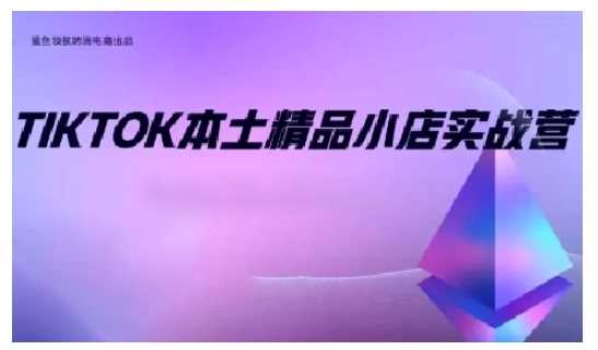 TikTok本土精品小店出海实战营，从入门到高阶，不止0-1!-天孤无涯网