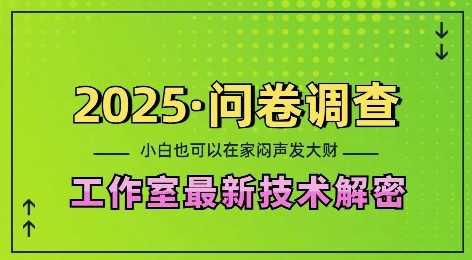 2025问卷调查最新工作室技术解密：一个人在家也可以闷声发大财，小白一天2张，可矩阵放大【揭秘】-天孤无涯网