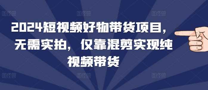 2024短视频好物带货项目，无需实拍，仅靠混剪实现纯视频带货-天孤无涯网