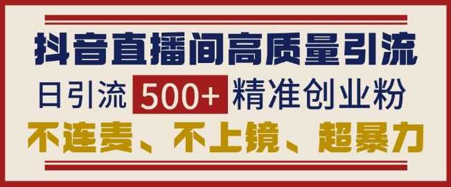 抖音直播间引流创业粉，无需连麦、不用上镜、超暴力，日引流500+高质量精准创业粉-天孤无涯网