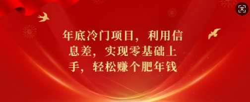 年底冷门项目，利用信息差，实现零基础上手，轻松赚个肥年钱【揭秘】-天孤无涯网