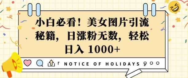 小白必看，美女图片引流秘籍，日涨粉无数，轻松日入几张【揭秘】-天孤无涯网