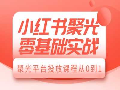 小红书聚光零基础实战，聚光平台投放课程从0到1-天孤无涯网