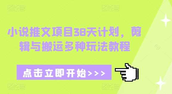 小说推文项目38天计划，剪辑与搬运多种玩法教程-天孤无涯网