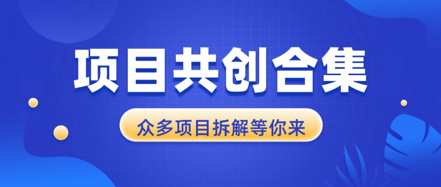 （13778期）项目共创合集，从0-1全过程拆解，让你迅速找到适合自已的项目-天孤无涯网