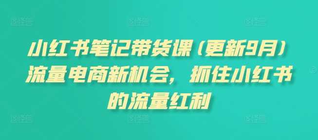 小红书笔记带货课(更新12月)流量电商新机会，抓住小红书的流量红利-天孤无涯网