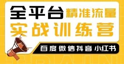 全平台精准流量实战训练营，百度微信抖音小红书SEO引流教程-天孤无涯网