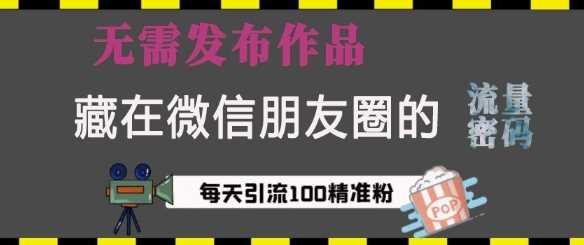 藏在微信朋友圈的流量密码，无需发布作品，单日引流100+精准创业粉【揭秘】-天孤无涯网
