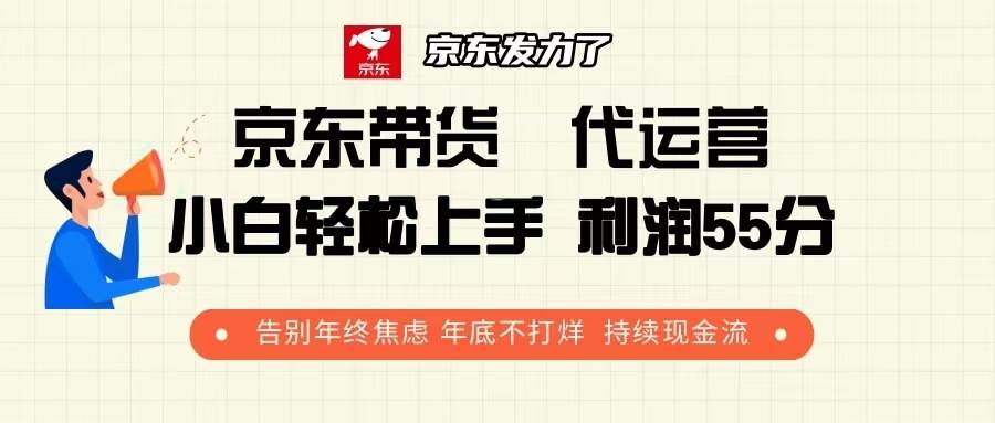 （13833期）京东带货 代运营 利润55分 告别年终焦虑 年底不打烊 持续现金流-天孤无涯网