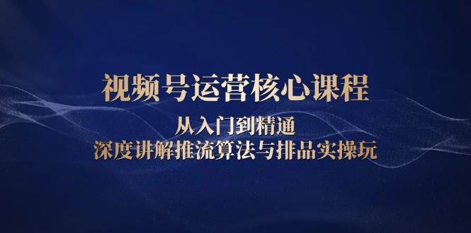 视频号运营核心课程，从入门到精通，深度讲解推流算法与排品实操玩-天孤无涯网