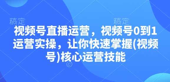 视频号直播运营，视频号0到1运营实操，让你快速掌握(视频号)核心运营技能-天孤无涯网