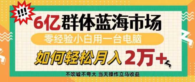 6亿群体蓝海市场，零经验小白用一台电脑，如何轻松月入过w【揭秘】-天孤无涯网