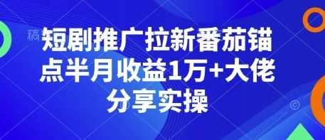 短剧推广拉新番茄锚点半月收益1万+大佬分享实操-天孤无涯网